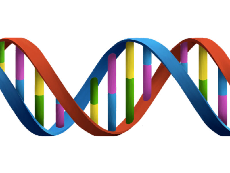 Infineon, X-Fab join Fraunhofer DNA memory project
