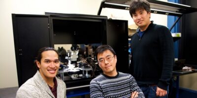 La synapse artificielle du MIT première étape vers un cerveau artificiel?