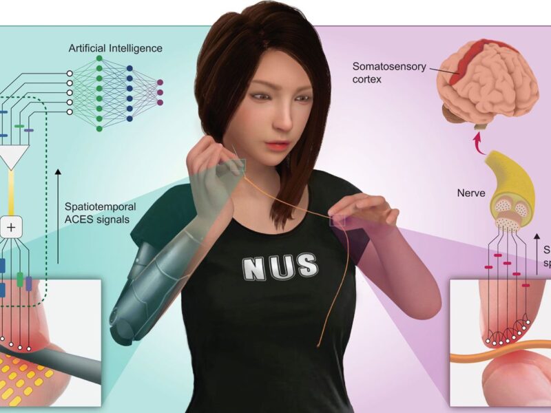 E-skin outperforms human sensory nervous system