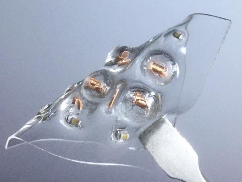 Flexible sensor encodes tactile stimuli into physiological signals