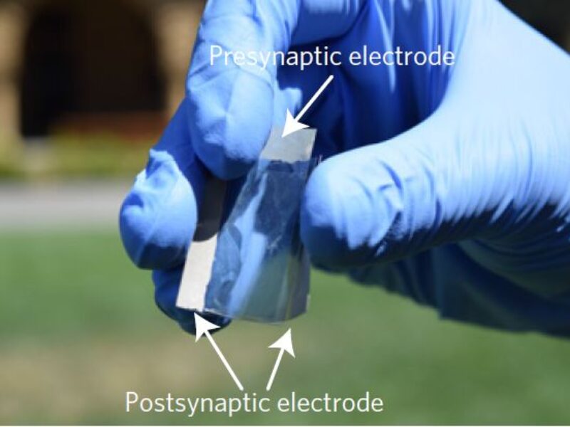 Plastic-based artificial synapse beats all energy-efficiency benchmarks