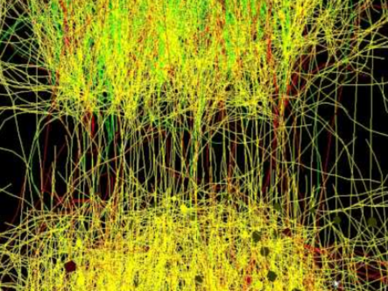 Accelerating development of 3rd-gen neural networks