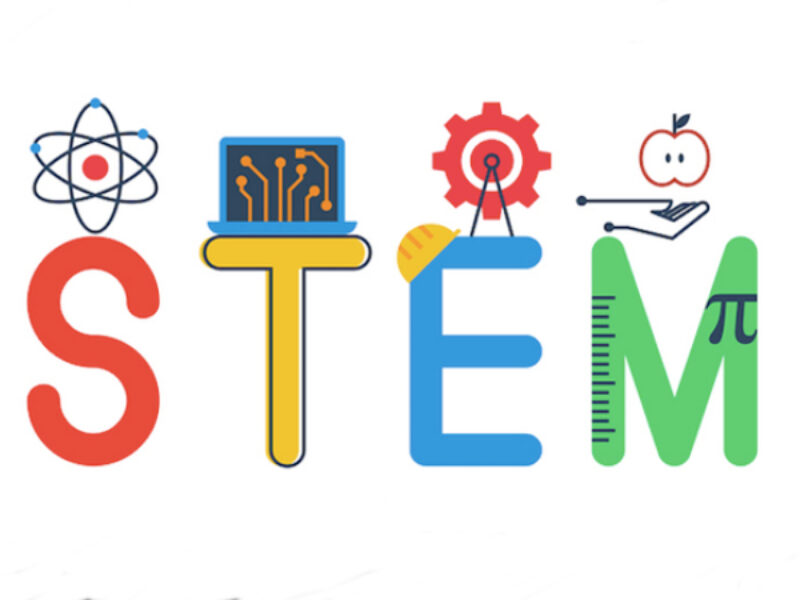 STEM shortage: real; not real?
